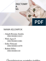 Ovariohisterectomy Pada Kucing