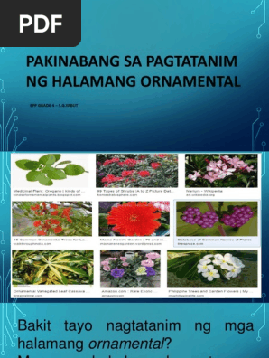 Pakinabang Sa Pagtatanim Ng Halamang Ornamental Pdf