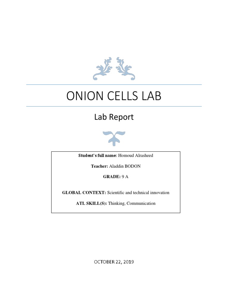 Onion Cell Lab PDF Staining Cell (Biology)