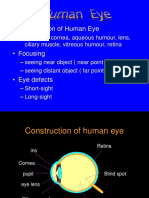 Construction of Human Eye