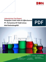 Report Pengujian Scale Index PEP Limau