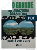 1991 - Olho Grande Na Amazônia Brasileira PDF