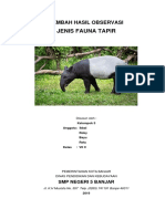 Lembar Hasil Observasi Tapir