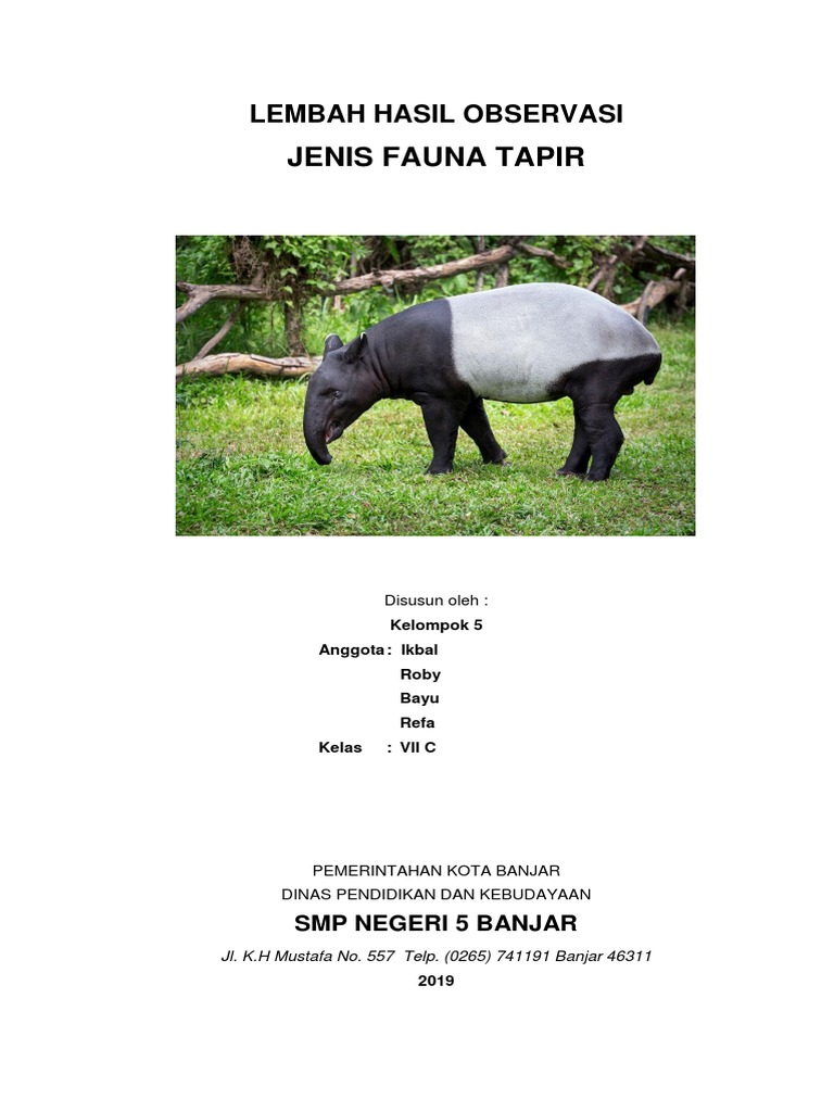Lembar Hasil Observasi Tapir