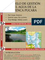 Modelo de Gestión Del Agua de La Cuenca Pucara