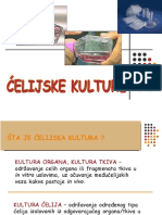 Cell and Tissue Culture - Serbian - Kultura-Celija-I-Tkiva