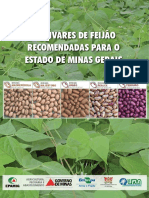 Cultivares de Feijão Recomendadas para o Estado de Minas Gerais