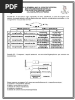 atividade ciclos biogeoquimicos e cadeia alimentar
