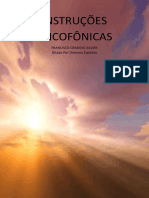 Instrucoes Psicofonicas.pdf
