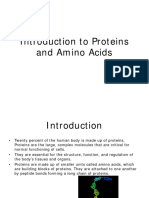 Introduction To Proteins and Amino Acids 571576 7