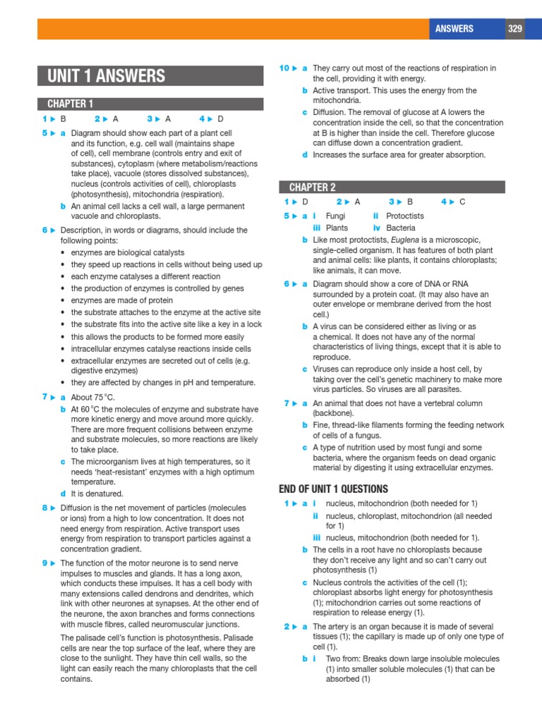 Unit 1 Biology Answers and Explanations | PDF | Lung | Neuron