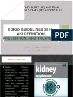 Kdigo Guidelines 2014: Aki Definition, Prevention, and Treatment