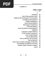 Download Apostila PNL aplicada by UlianTwo SN4333949 doc pdf