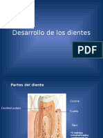 Desarrollo Dental PDF