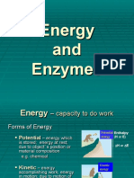 Energy Enzymes