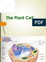 NSB BOT 20 Intro Chapter 1B Plant Cell