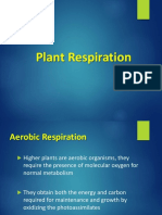 NSB BOT 20 Plant Respiration