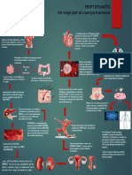 TRIPTOFANITO Infograma