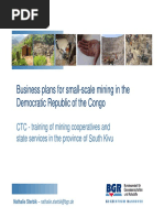 Business Plans For Small-Scale Mining in The Democratic Republic of The Congo