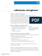 What Is Pseudomonas Aeruginosa?
