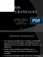 Nervios Craneales