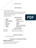 Curriculum Vitae: Perfil Profesional