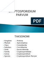 Clostridium Parvum