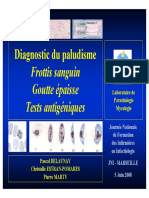 PALU IDE2008 Delaunay