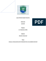 Causas y Consecuencias de La Disolución de Una Sociedad Comercial