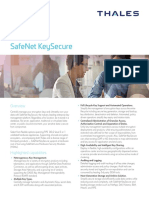 Safenet Keysecure PB v17