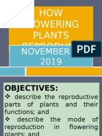 HOW Flowering Plants Reproduce: November 4, 2019