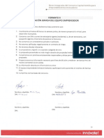 formato II.pdf