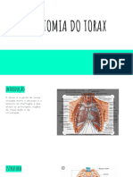 Anatomia Do Torax