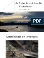 Curso de Guías Amazónicos De Ecoturismo.pptx