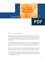 07-Petroleo(2).pdf