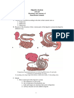 ANS 215 Physiology and Anatomy of Domesticated Animals I. Digestive Tract