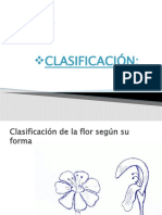 Clasificacion