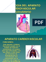 Sistema Cardiovascular