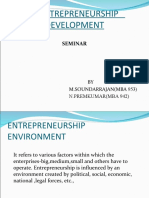 Entrepreneurial Environment