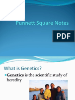 Punnett Square