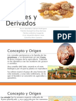 cereales-y-derivados-170509185834.pdf