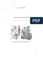 Generalidades del cultivo de maíz (Zea mays) en la Universidad del Tolima