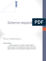 Sistema Respiratorio