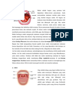 Sistem Pencernaan Manusia