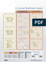 AO Spine Upper Cervical Classification System PDF