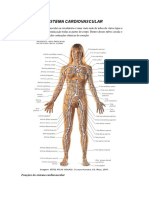 SISTEMA CARDIOVASCULAR[1].doc