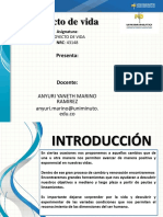 Actividad 10 - Proyecto de Vida.