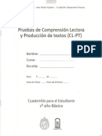 Prueba CLP1