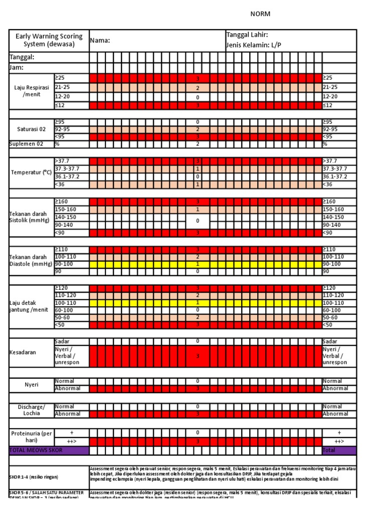 Sistem Skoring EWS untuk Ibu dan Anak | PDF