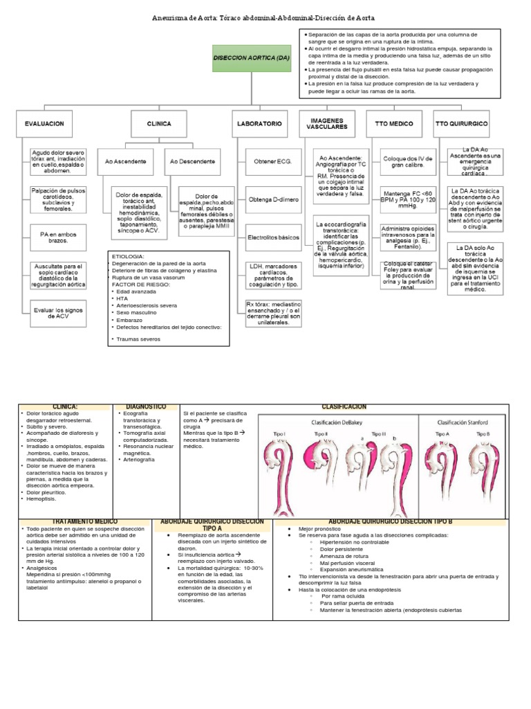 Aneurisma de Aorta | PDF | Enfermedades cardiovasculares ...